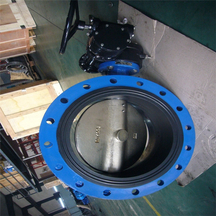 Rubber Seated Flange Butterfly Valve